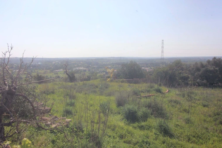 Quinta T5 para Venda em Silves Foto 36