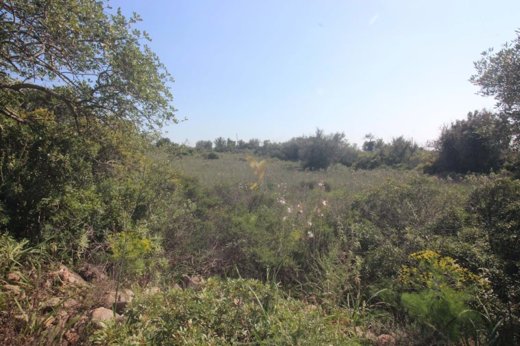 Quinta T5 para Venda em Silves Foto 40