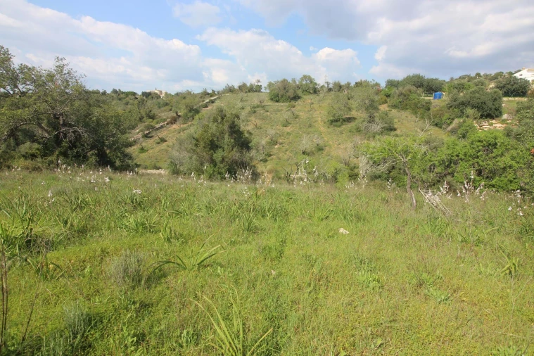 Quinta T5 para Venda em Silves Foto 18