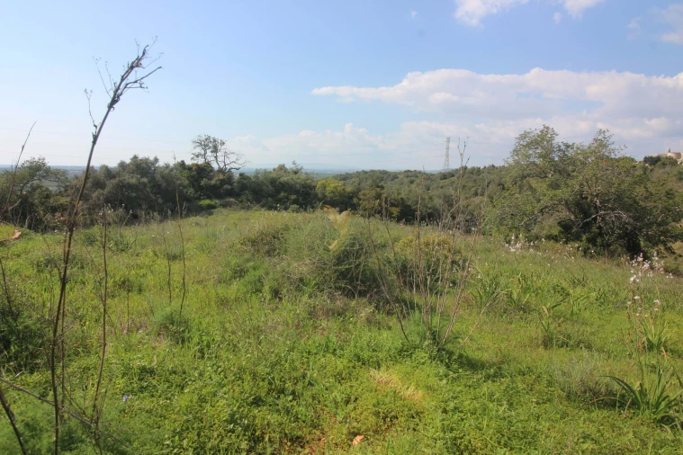 Quinta T5 para Venda em Silves Foto 22