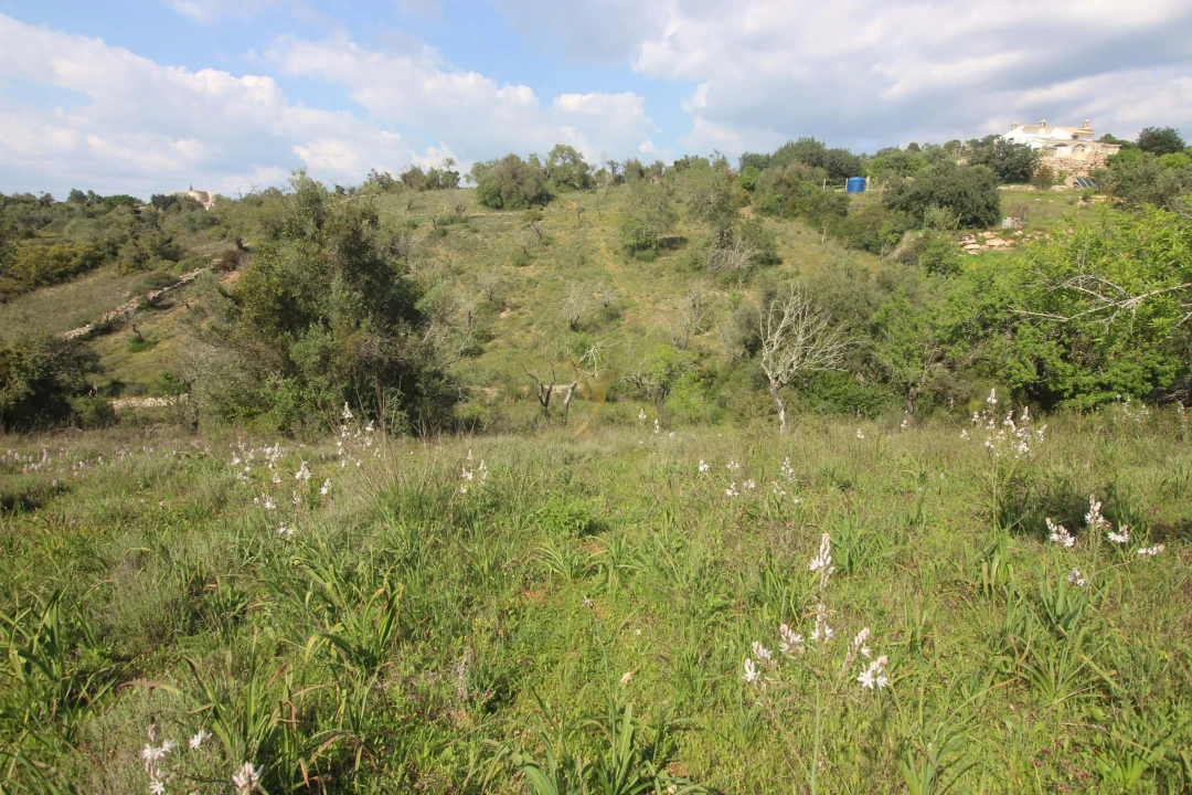 Quinta T5 para Venda em Silves Foto 20