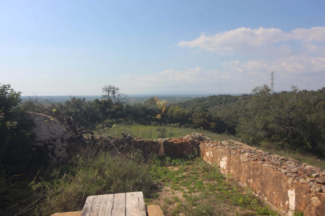 Quinta T5 para Venda em Silves Foto 34