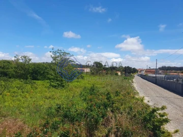Terreno para Venda em Azurara