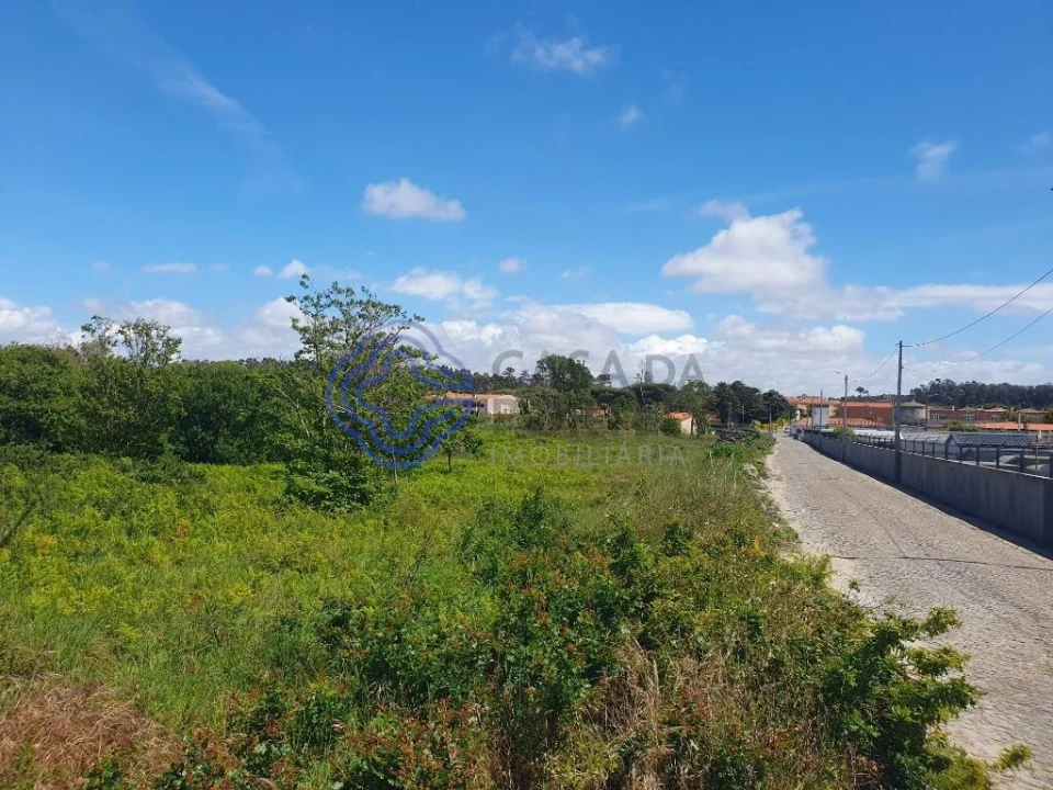 Terreno para Venda em Azurara Foto 5