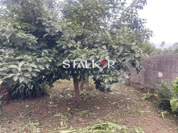 Terreno para Venda em Canidelo