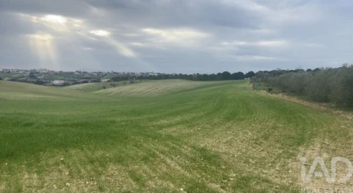 Terreno para Venda em Abitureiras