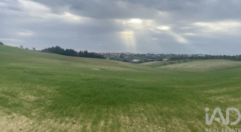 Terreno para Venda em Abitureiras