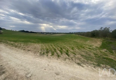 Terreno para Venda em Abitureiras