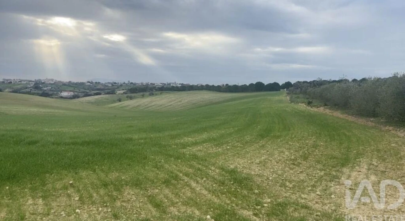 Terreno para Venda em Abitureiras Foto 8