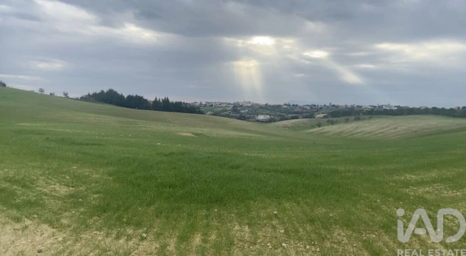 Terreno para Venda em Abitureiras Foto 7