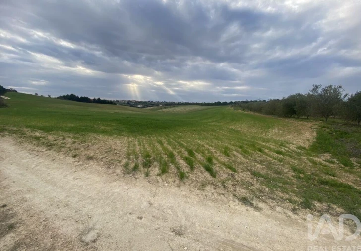 Terreno para Venda em Abitureiras Foto 5
