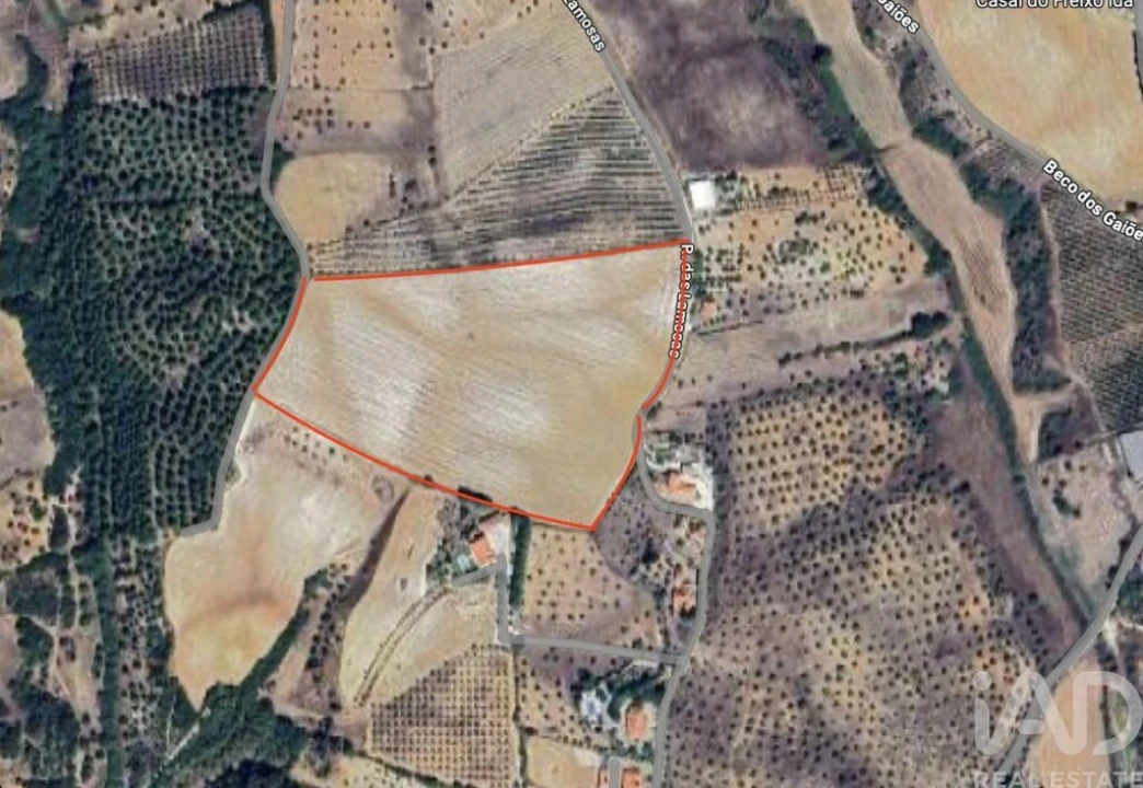Terreno para Venda em Abitureiras Foto 2