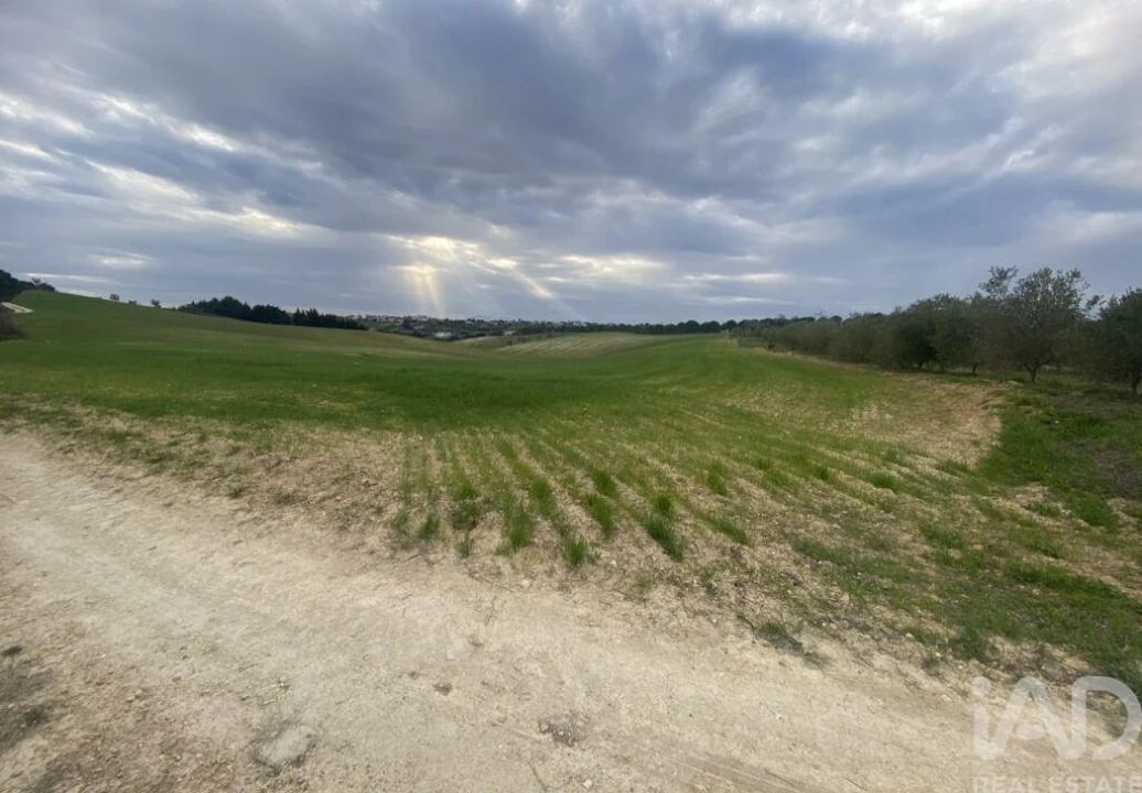Terreno para Venda em Abitureiras Foto 5