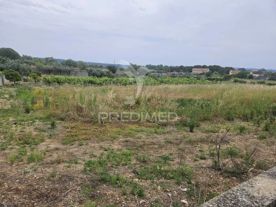 Terreno para Venda em Além da Ribeira e Pedreira Foto 5