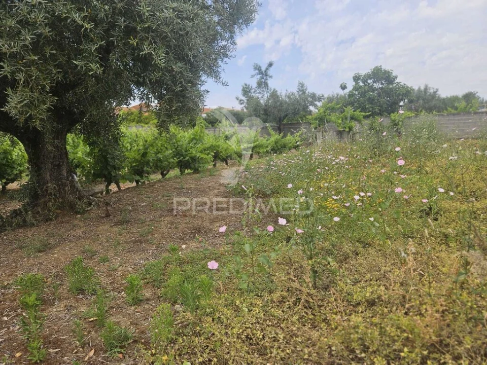 Terreno para Venda em Além da Ribeira e Pedreira Foto 10