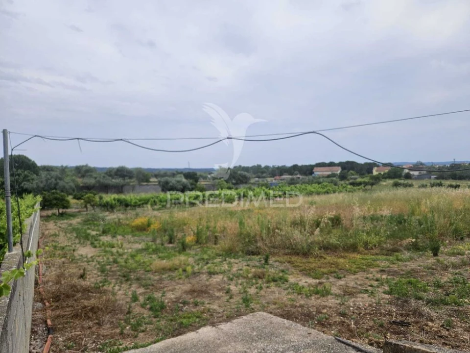 Terreno para Venda em Além da Ribeira e Pedreira Foto 2