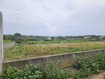 Terreno para Venda em Além da Ribeira e Pedreira