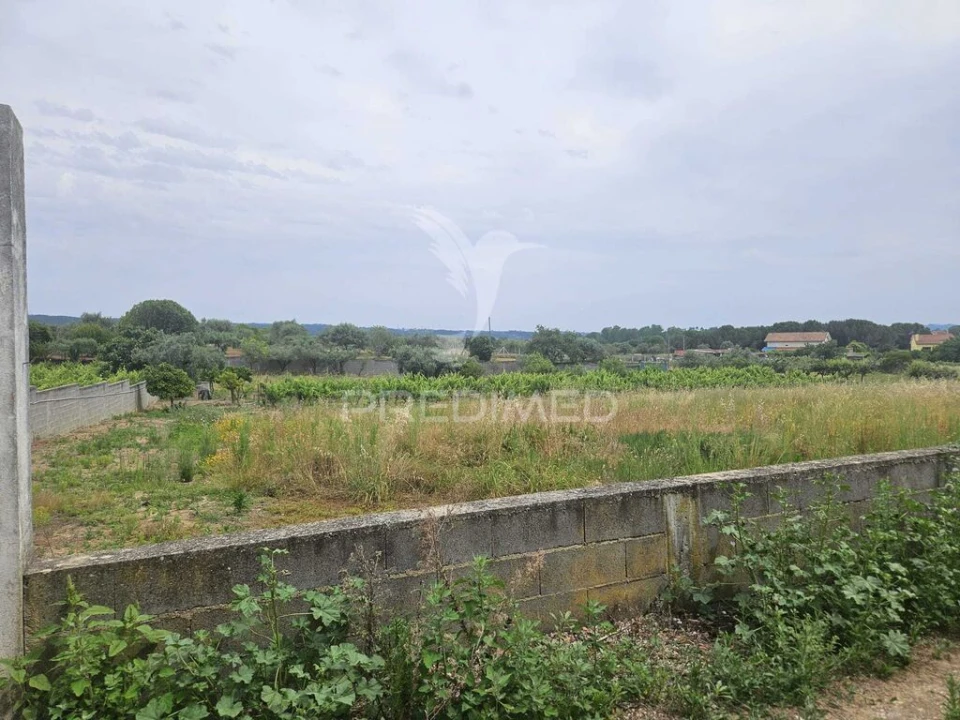 Terreno para Venda em Além da Ribeira e Pedreira Foto 3