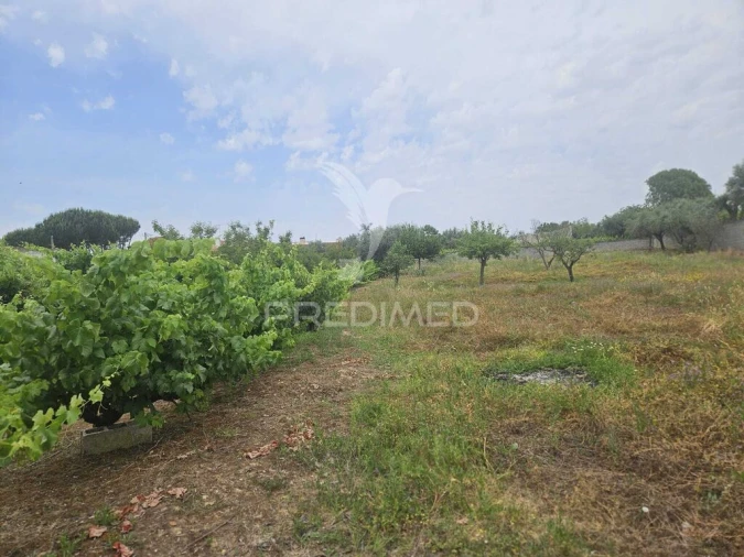 Terreno para Venda em Além da Ribeira e Pedreira Foto 18