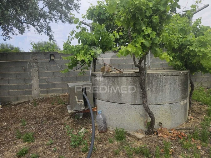 Terreno para Venda em Além da Ribeira e Pedreira Foto 15