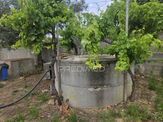 Terreno para Venda em Além da Ribeira e Pedreira Foto 13