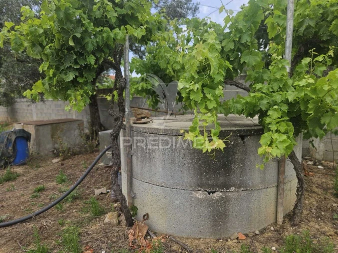 Terreno para Venda em Além da Ribeira e Pedreira Foto 12