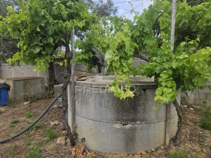 Terreno para Venda em Além da Ribeira e Pedreira Foto 14