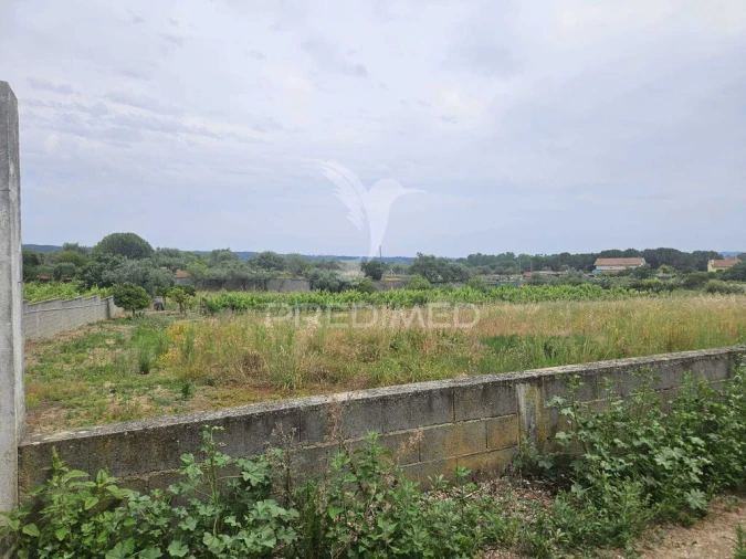 Terreno para Venda em Além da Ribeira e Pedreira Foto 3