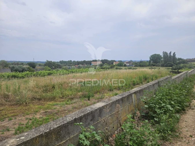 Terreno para Venda em Além da Ribeira e Pedreira Foto 4