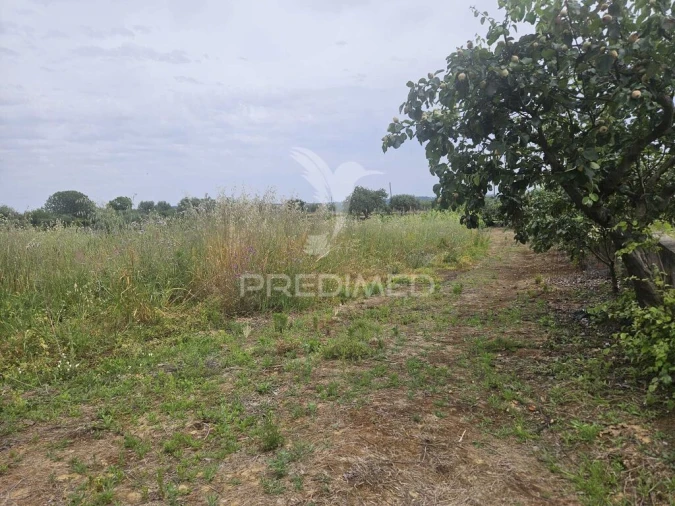 Terreno para Venda em Além da Ribeira e Pedreira Foto 19