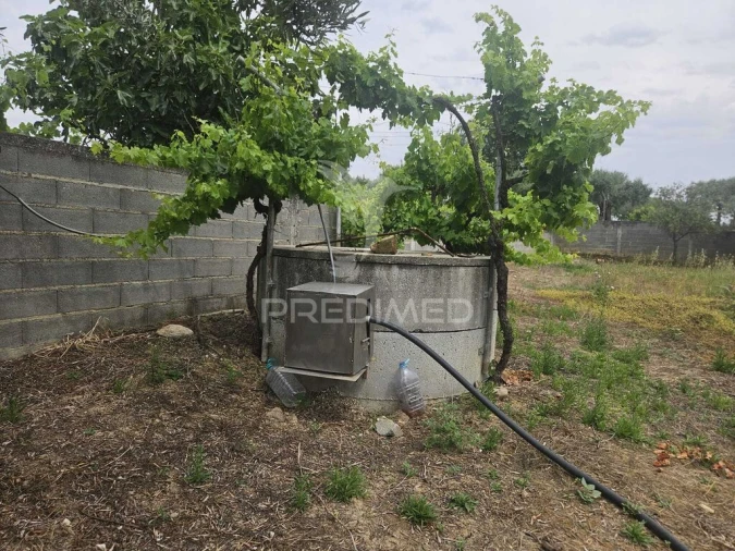 Terreno para Venda em Além da Ribeira e Pedreira Foto 7