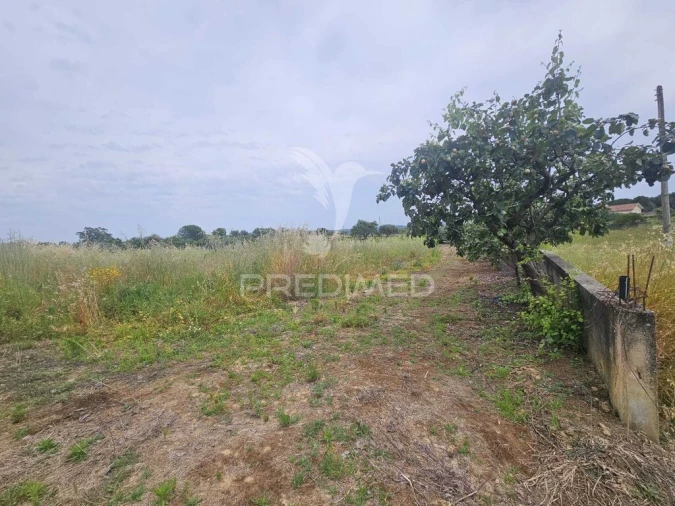 Terreno para Venda em Além da Ribeira e Pedreira Foto 20