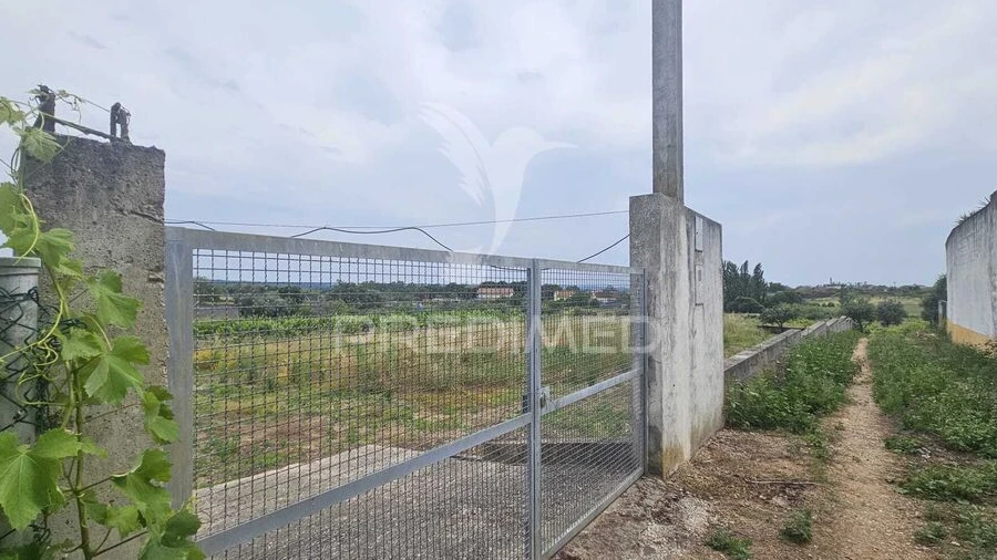 Terreno para Venda em Além da Ribeira e Pedreira