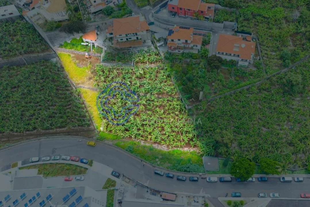 Terreno para Venda em Santo Antonio Foto 6