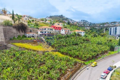 Terreno para Venda em Santo Antonio