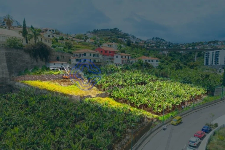 Terreno para Venda em Santo Antonio Foto 3