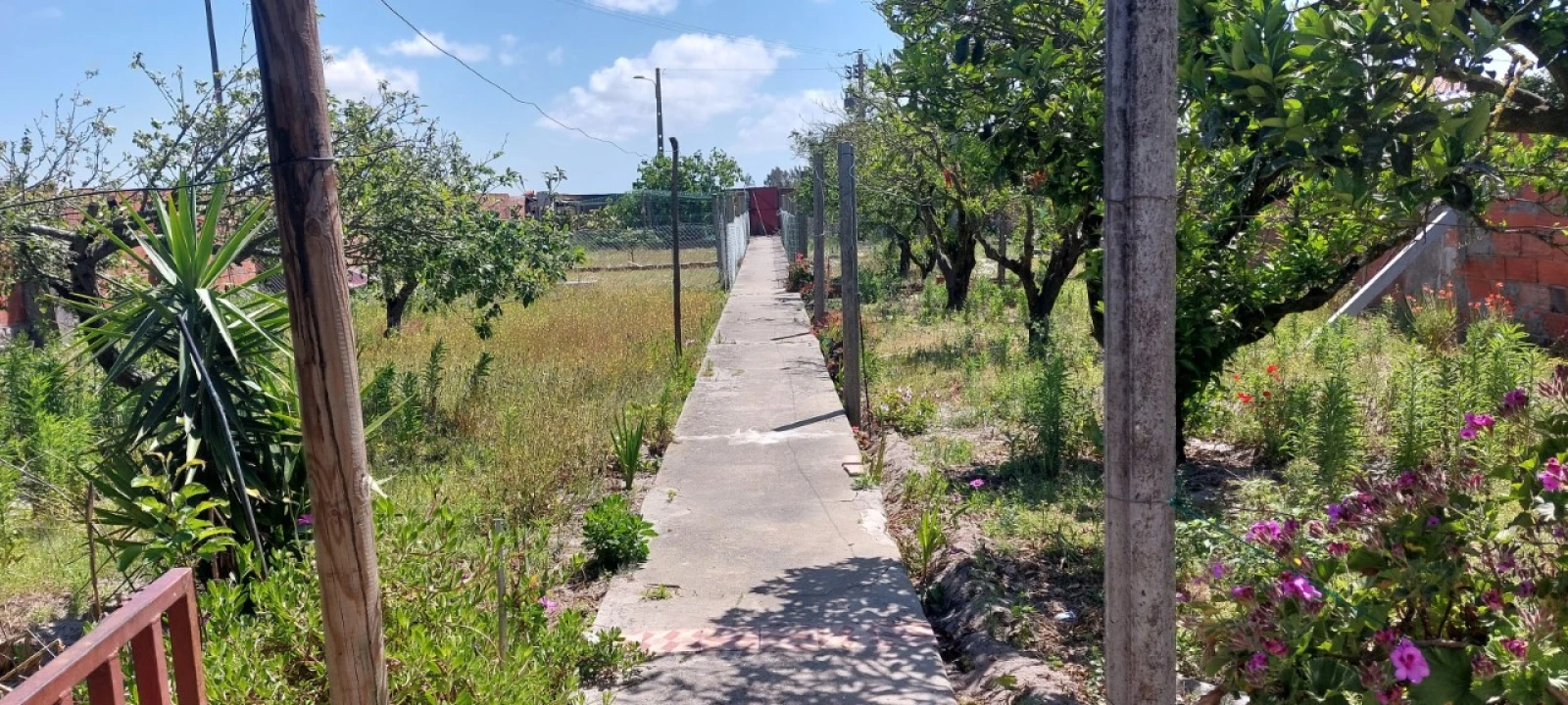 Moradia T4 para Venda em Vieira de Leiria Foto 21