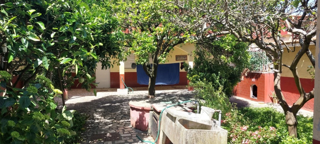 Moradia T4 para Venda em Vieira de Leiria Foto 5
