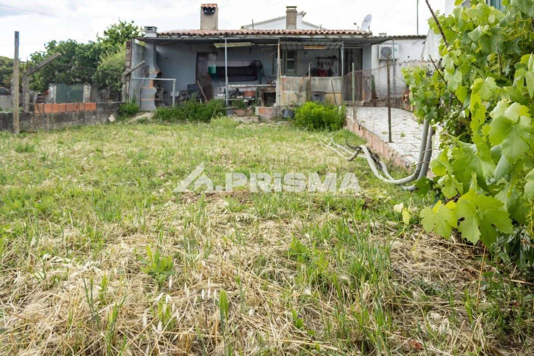 Moradia T4 para Venda em Perais Foto 26