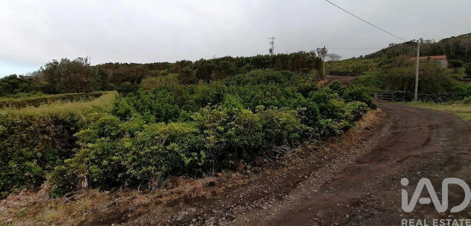 Terreno para Venda em Piedade Foto 6