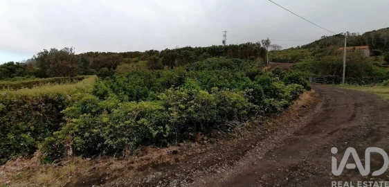 Terreno para Venda em Piedade