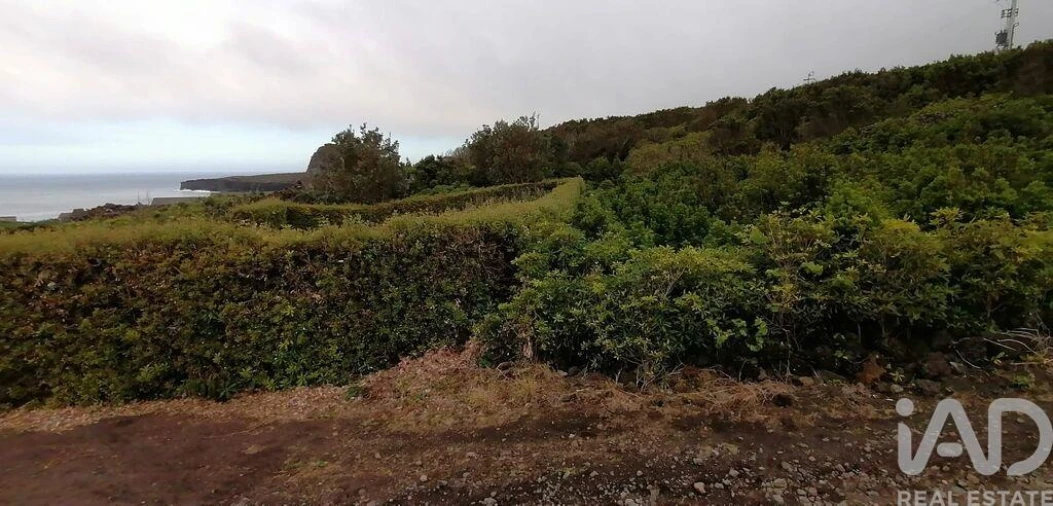 Terreno para Venda em Piedade Foto 4