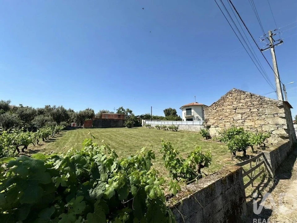 Terreno para Venda em Cunha Baixa Foto 7