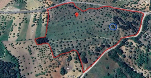 Terreno para Venda em Torres Novas (São Pedro), Lapas e Ribeira Branca