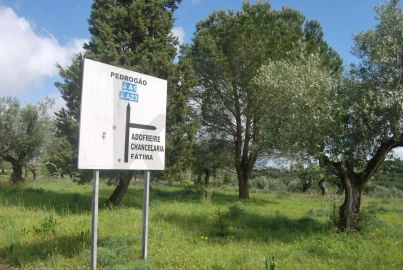 Terreno para Venda em Torres Novas (São Pedro), Lapas e Ribeira Branca