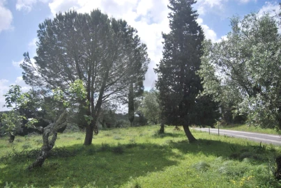 Terreno para Venda em Torres Novas (São Pedro), Lapas e Ribeira Branca