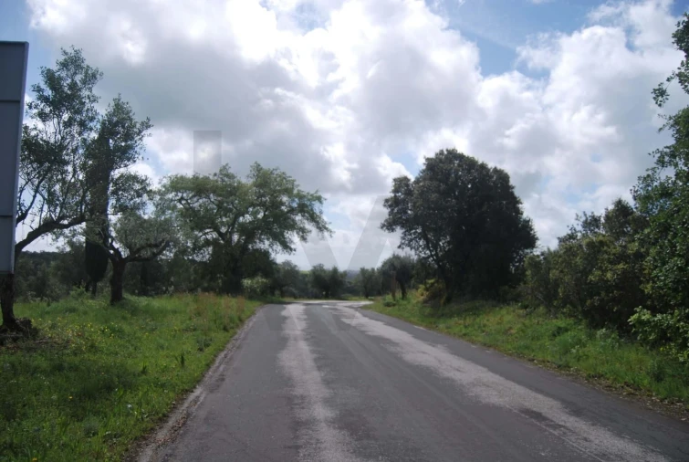 Terreno para Venda em Torres Novas (São Pedro), Lapas e Ribeira Branca Foto 6