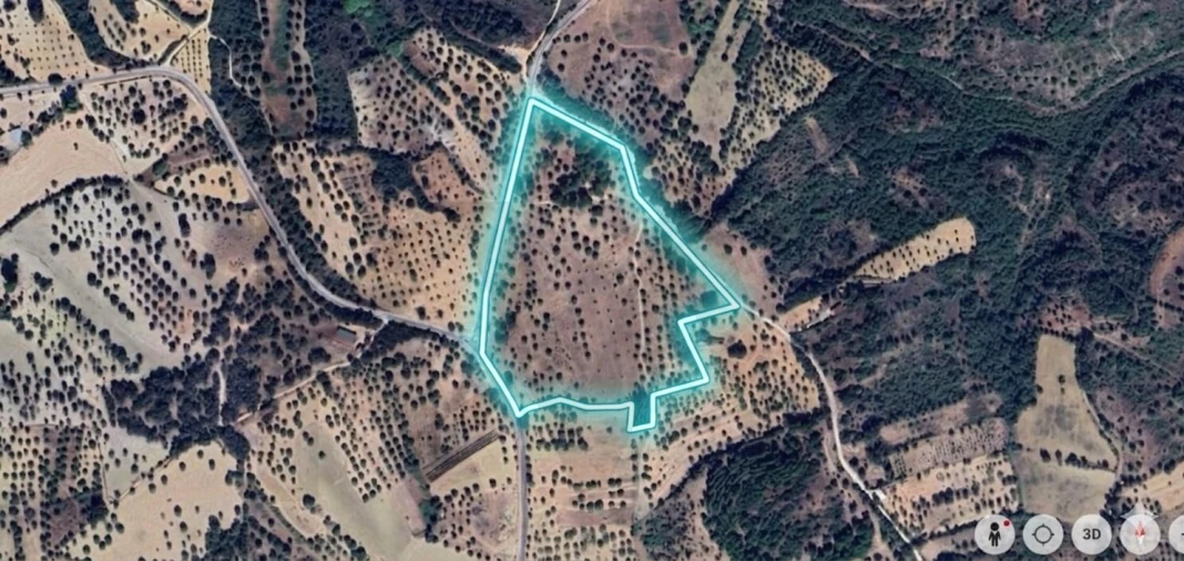 Terreno para Venda em Torres Novas (São Pedro), Lapas e Ribeira Branca Foto 12