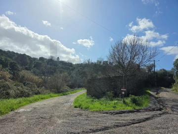 Terreno para Venda em Zibreira