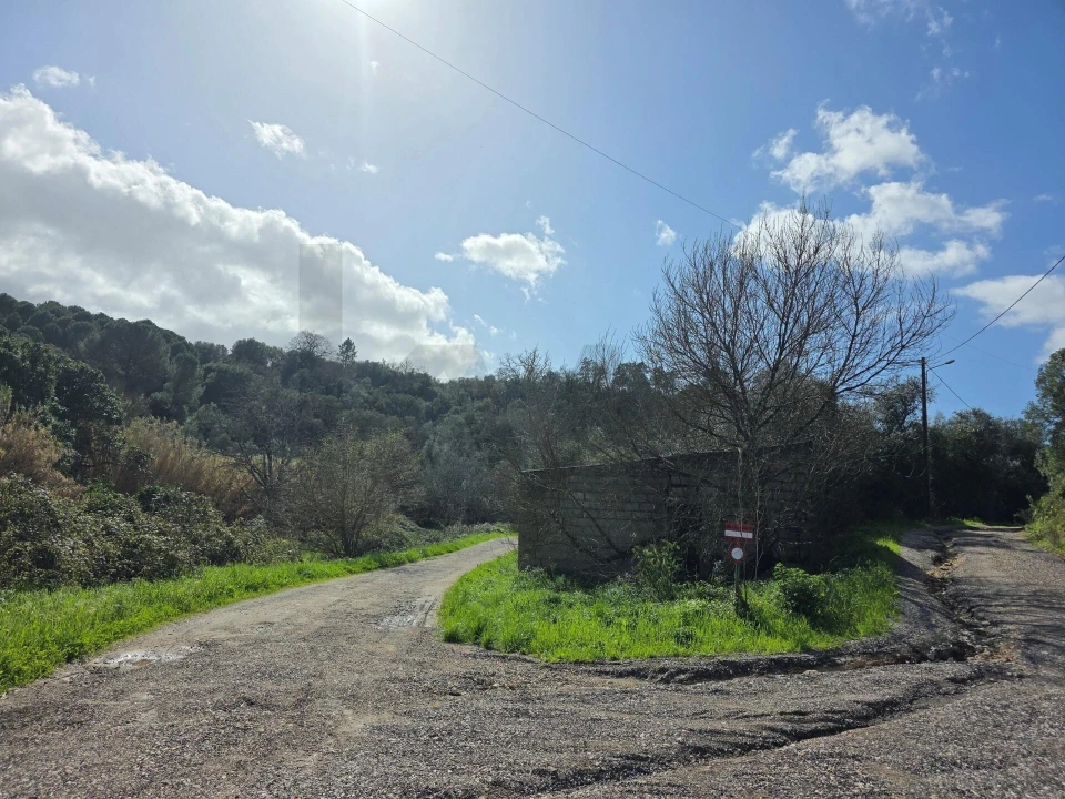 Terreno para Venda em Zibreira Foto 6